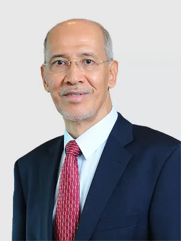 Tan Sri Mohd Bakke Salleh
